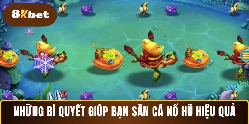 Những bí quyết giúp bạn săn cá nổ hũ hiệu quả