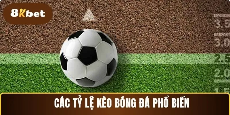 Tỷ lệ kèo bóng đá được nhiều cược thủ lựa chọn